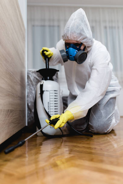 Best Pest Control for Multi-Family Homes  in Thornton, CO